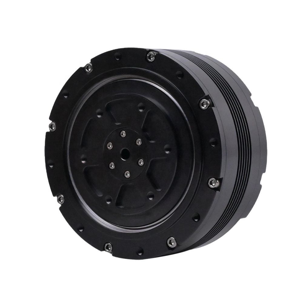 Bldc Planetary Gear Motor 48V High Torque - Motore DC senza spazzole con riduttore,
