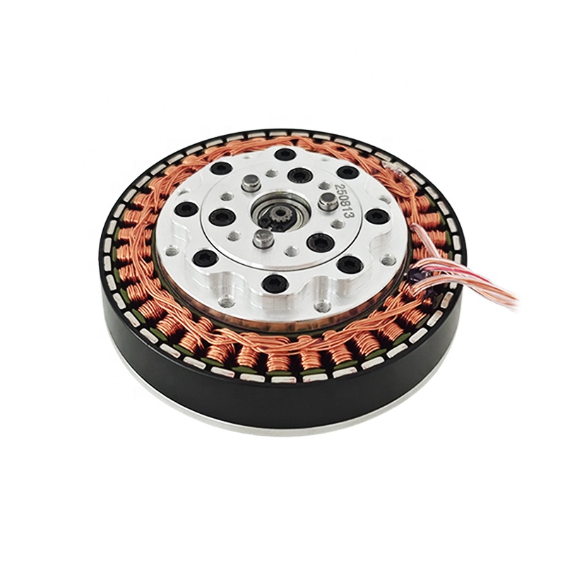 Modulo giunto robotico BLDC ad - Bldc Planetary Gear Motor 48V High Torque recensione e prezzo